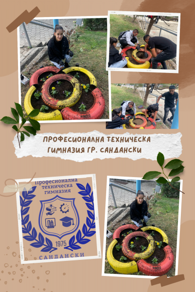 Красив двор 1